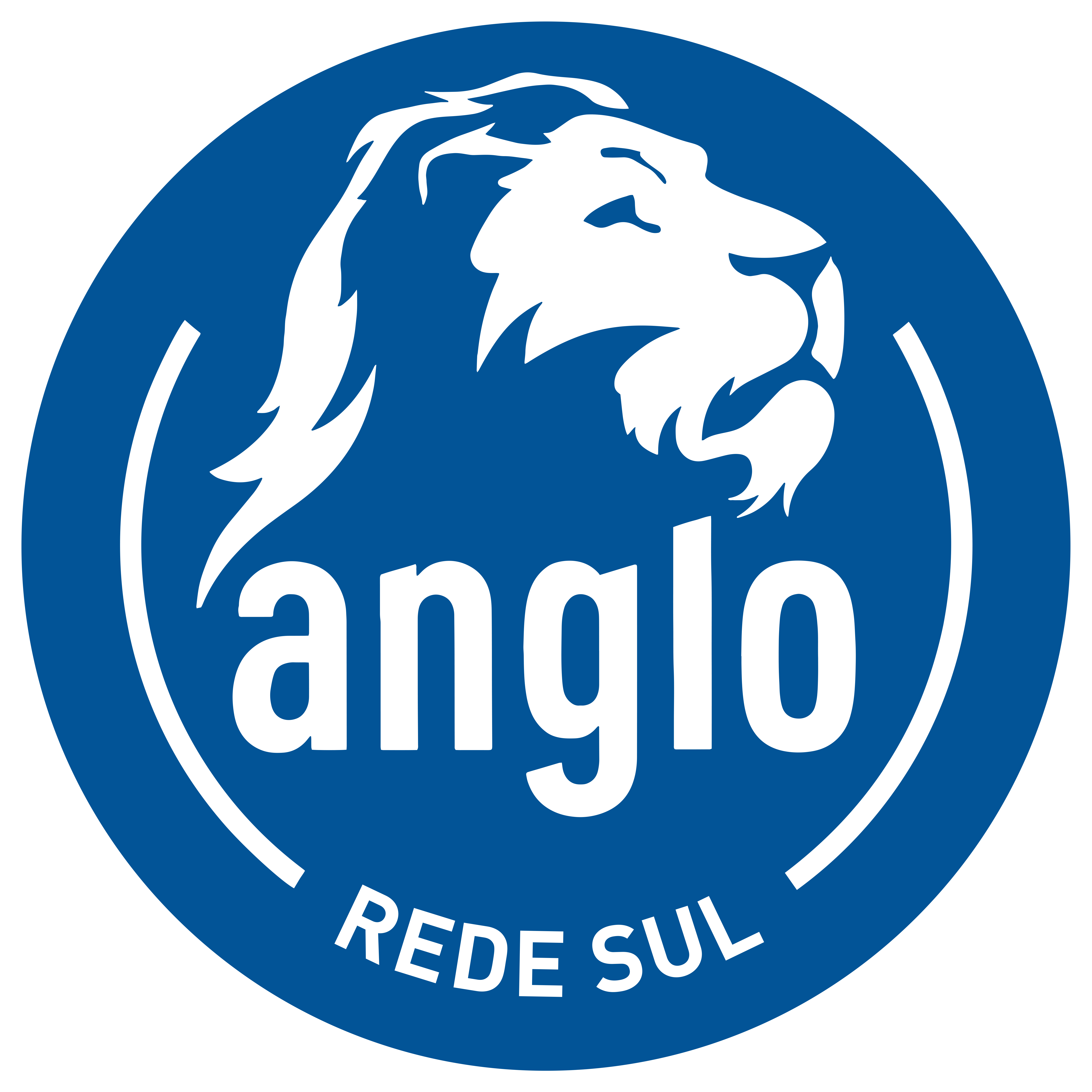 Anglo Rede Sul 